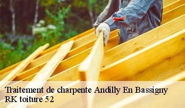 Le traitement des charpentes : une spécialité de RK toiture 52 à Andilly En Bassigny dans le 52360