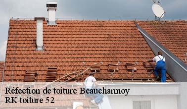 RK toiture 52 : la personne qui a les compétences nécessaires pour effectuer la réfection de la toiture à Beaucharmoy dans le 52400