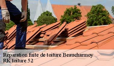 RK toiture 52 : un expert qui peut s'occuper des travaux de réparation des infiltrations à Beaucharmoy dans le 52400