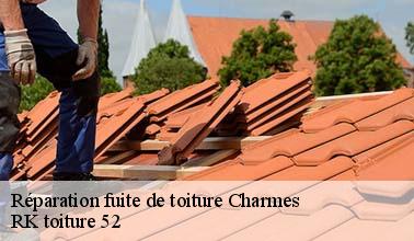 La réparation des fuites au niveau de la toiture réalisée par RK toiture 52 à Charmes dans le 52360