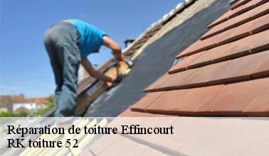 Qui peut effectuer les travaux de réparation des toits des maisons à Effincourt dans le 52300 ?