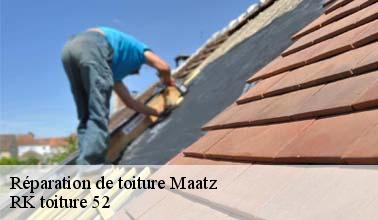 Toutes les informations à savoir sur les travaux de réparation au niveau de la toiture d'un immeuble à Maatz dans le 52500