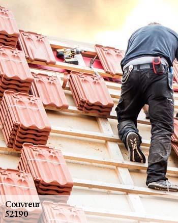 Qui prend en main les travaux de rénovation pour les toits à Villiers Les Aprey dans le 52190 ?